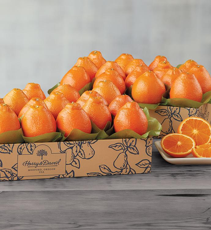 Cushman’s® Florida HoneyBells - Two Trays