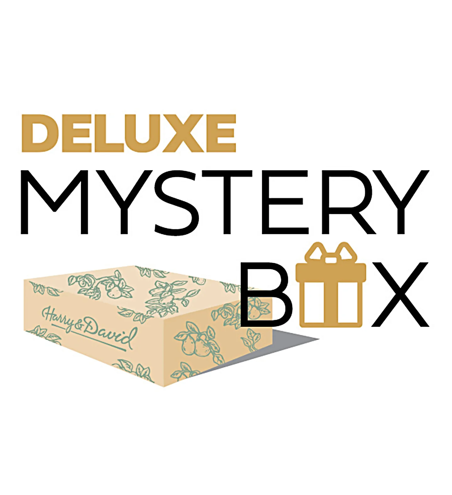 Deluxe Mystery Box
