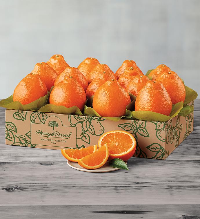 Cushman’s® Florida HoneyBells - One Tray