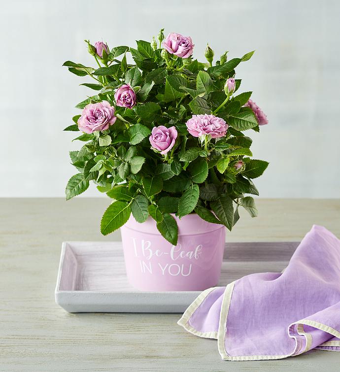 “I Be-leaf in You” Plant Gift